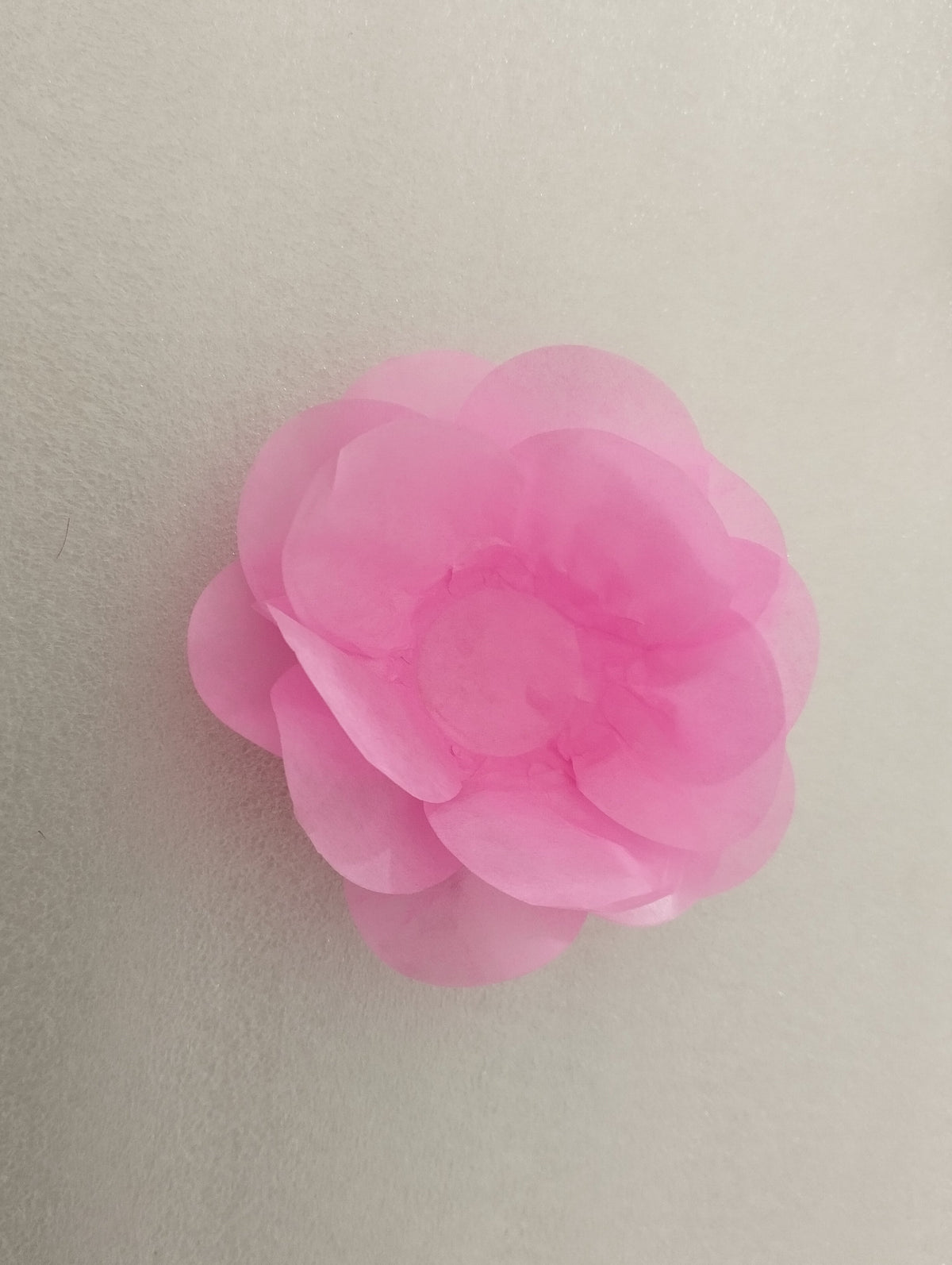 forminhas para doces de papel