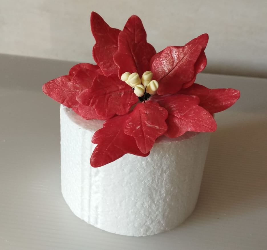 Flor Poisentia De Açucar Para Bolo