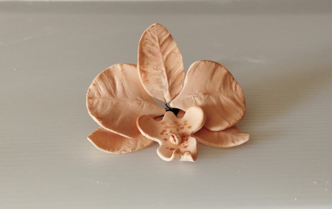 Orquídeas De Açucar Para Bolo