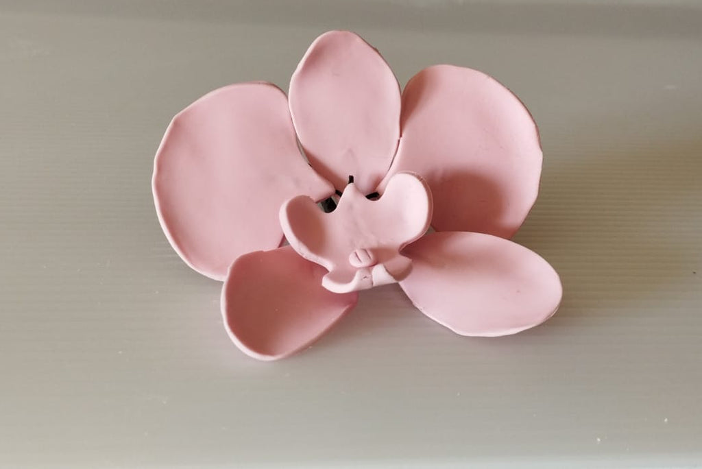 Orquídeas De Açucar Para Bolo