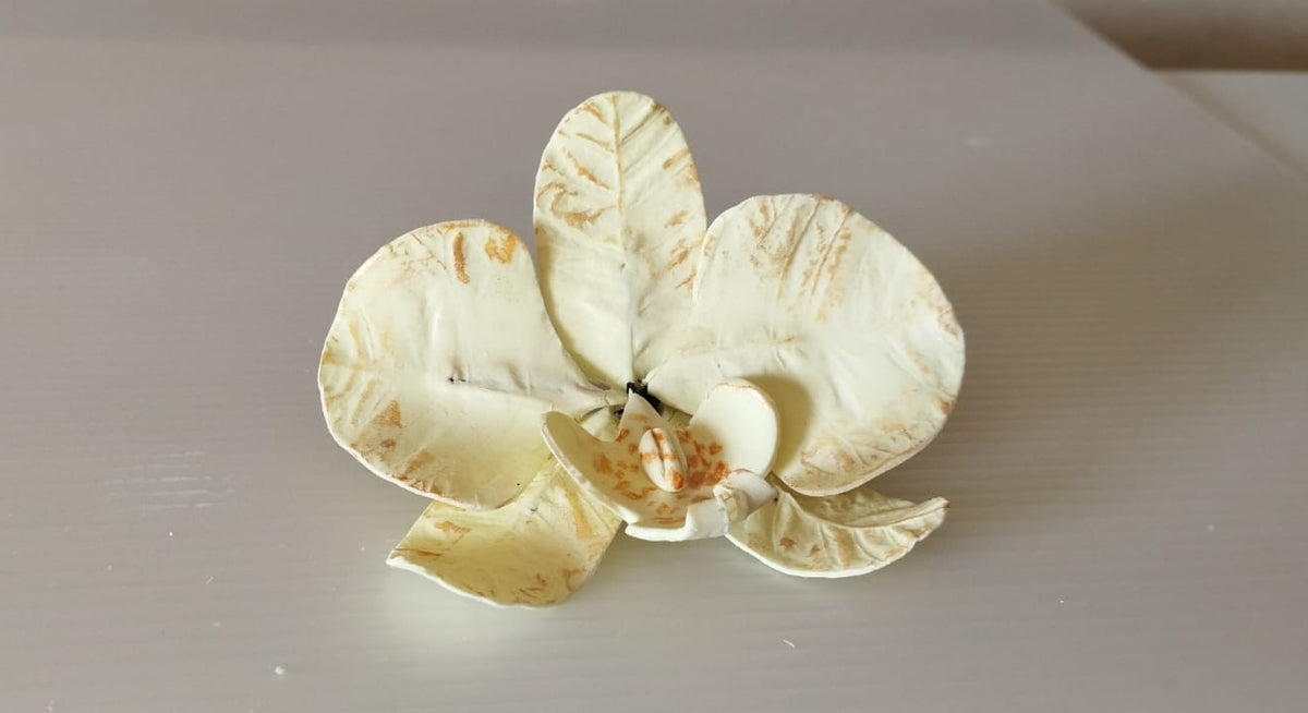 Orquídeas De Açucar Para Bolo