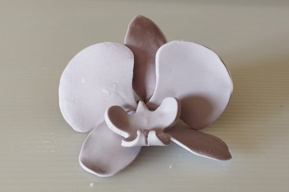 Orquídeas De Açucar Para Bolo