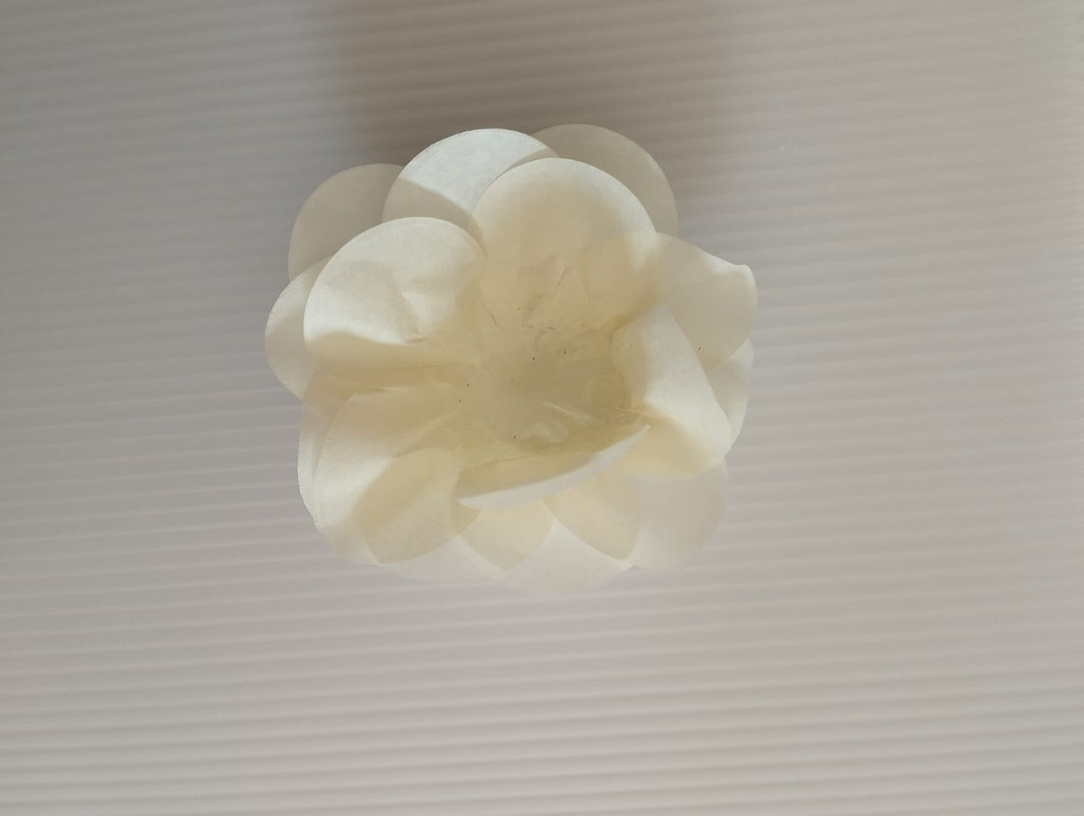 forminhas para doces de papel