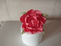 Flor de Açucar (PÊONEA)