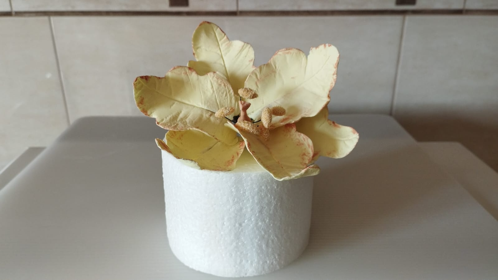 Flores de Açucar Para Bolo